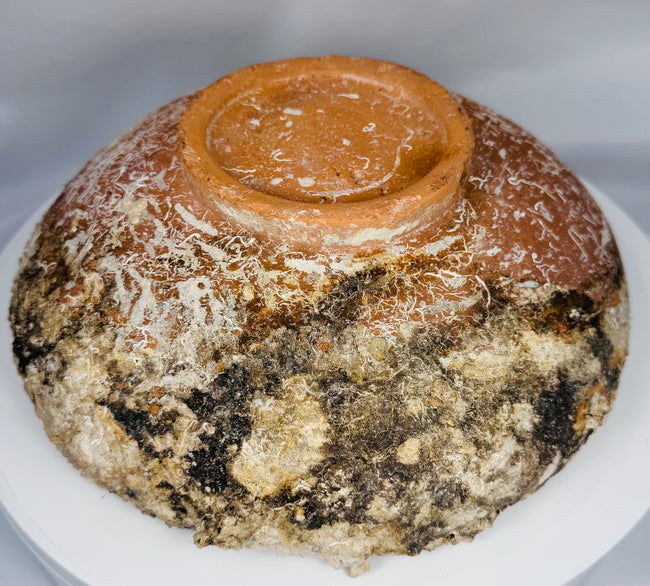 Authentic Byzantine slipware bowl from a long-held private Saint Paul, Minnesota collection with documented provenance.