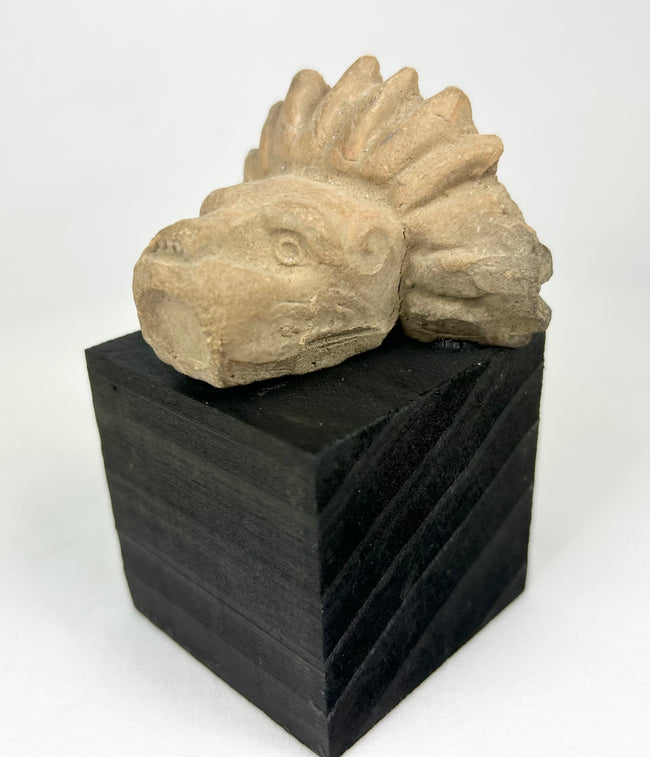Carved stone animal head from Pre-Columbian Mesoamerica, mounted on modern display base