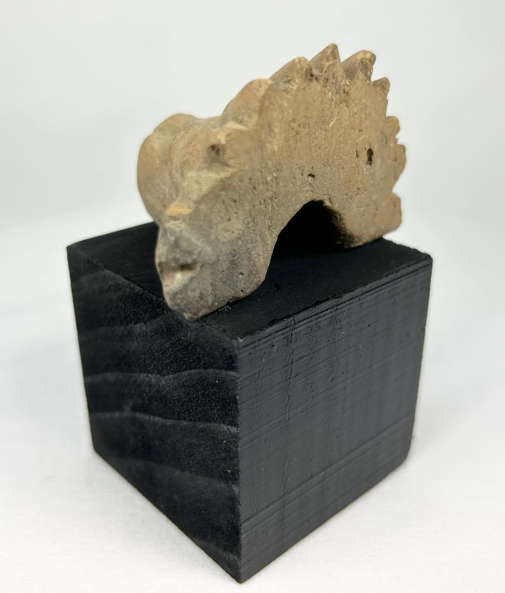 Ancient Mesoamerican stone sculpture fragment showing open-mouthed animal symbolism