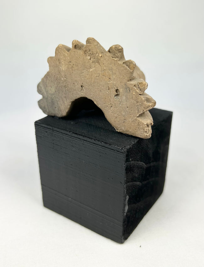 Mesoamerican carved stone guardian figure fragment with expressive eyes and muzzle