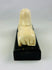 Decorative sphinx inspired by ancient Egypt, popular during early 20th century revival period