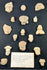 Mesoamerican terracotta fragments, 200 BCE–900 CE, Teotihuacan and Veracruz traditions, mounted in shadowbox