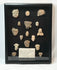 Ancient Mesoamerican terracotta fragment collection, 16 ritual heads and maskettes, 200 BCE–900 CE, shadowbox mounted