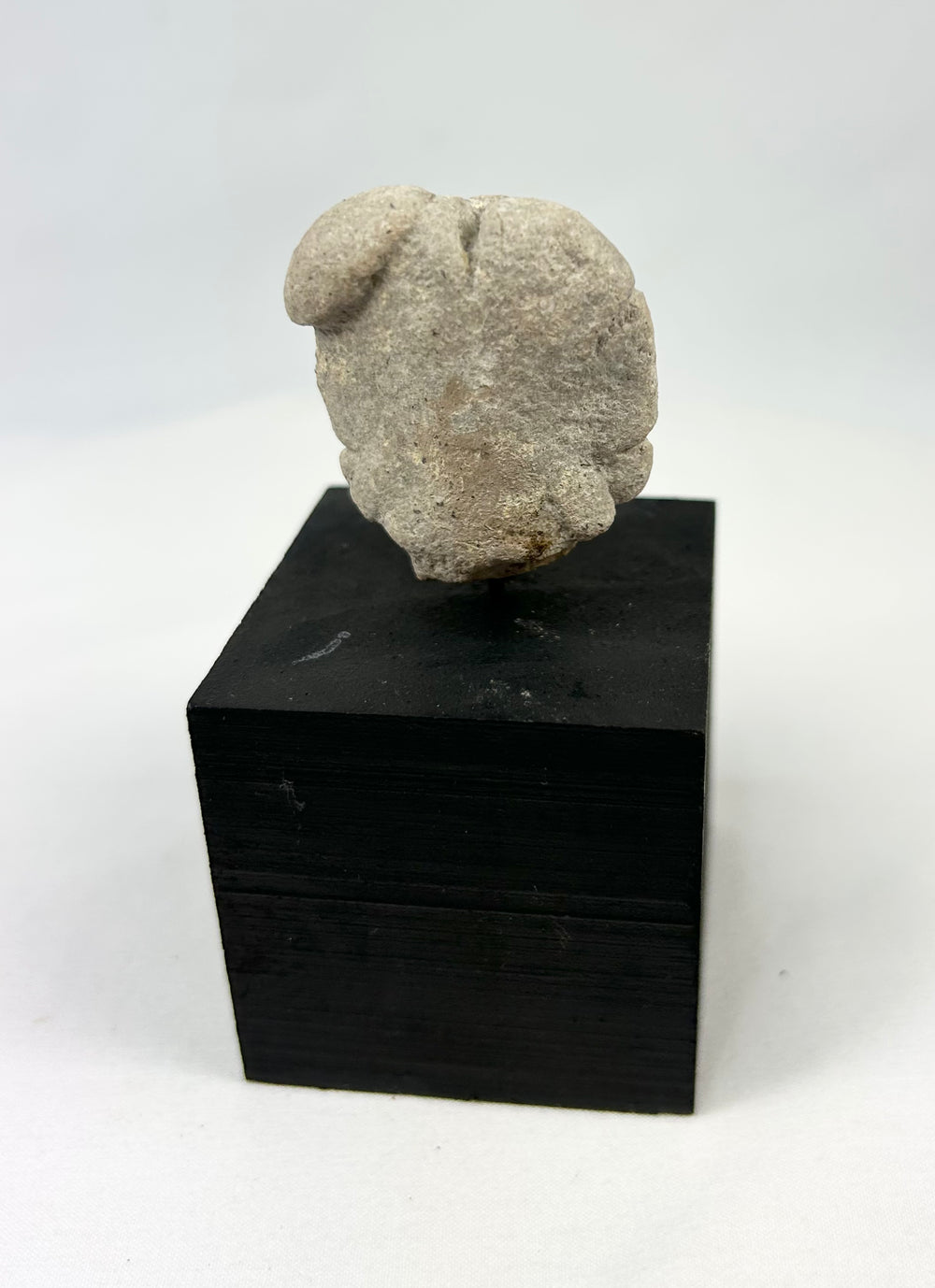 Stylized terracotta head fragment from West Mexico, photographed on white background