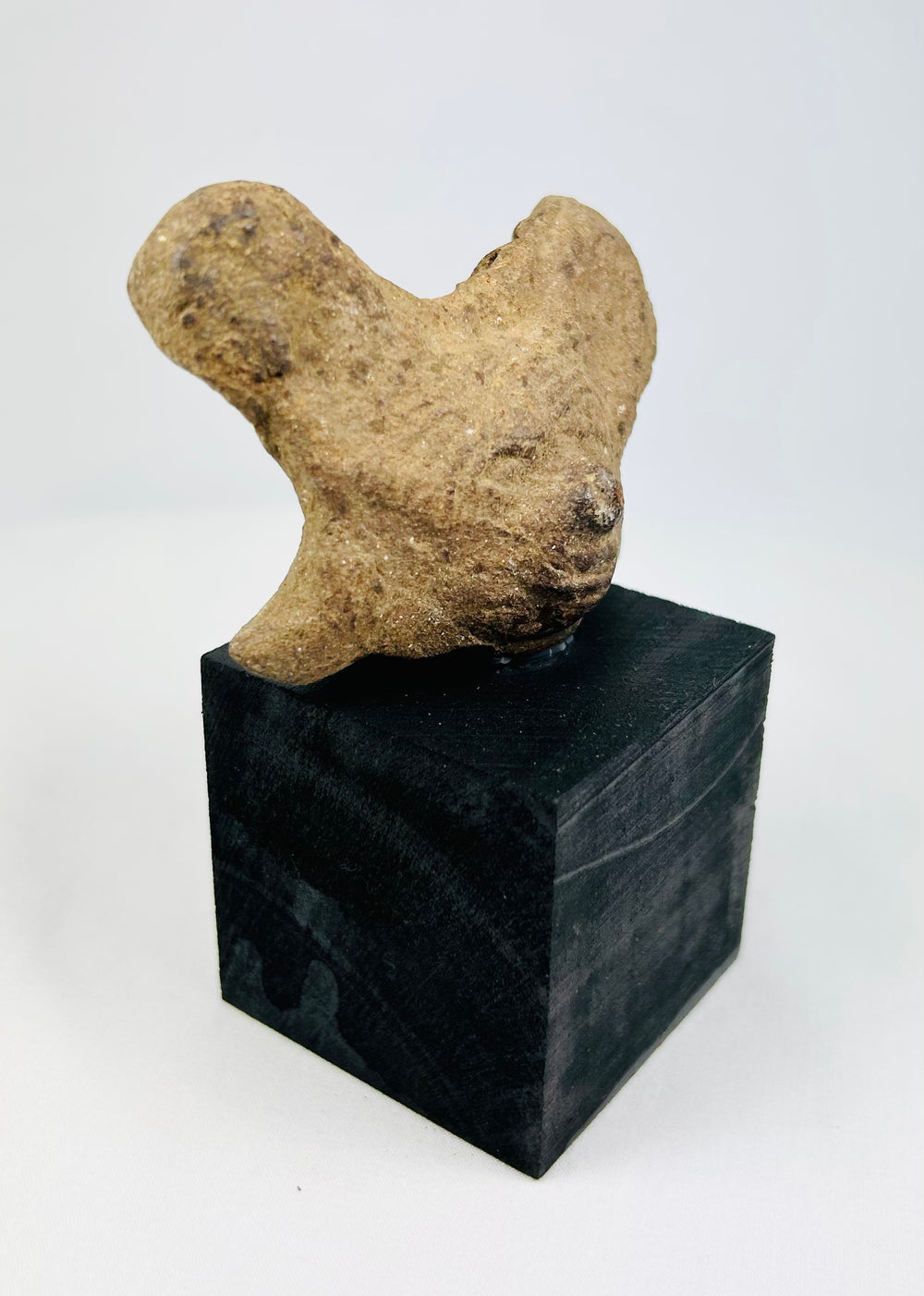 West Mexican terracotta head fragment mounted on black display base