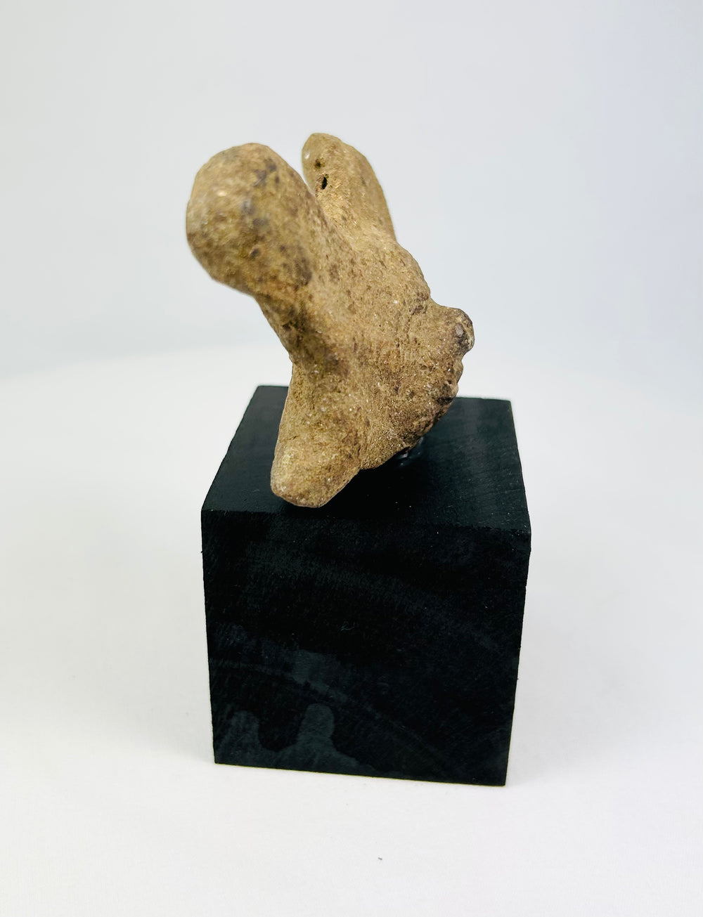 Ancient Pre-Columbian terracotta head with almond-shaped eyes and nose