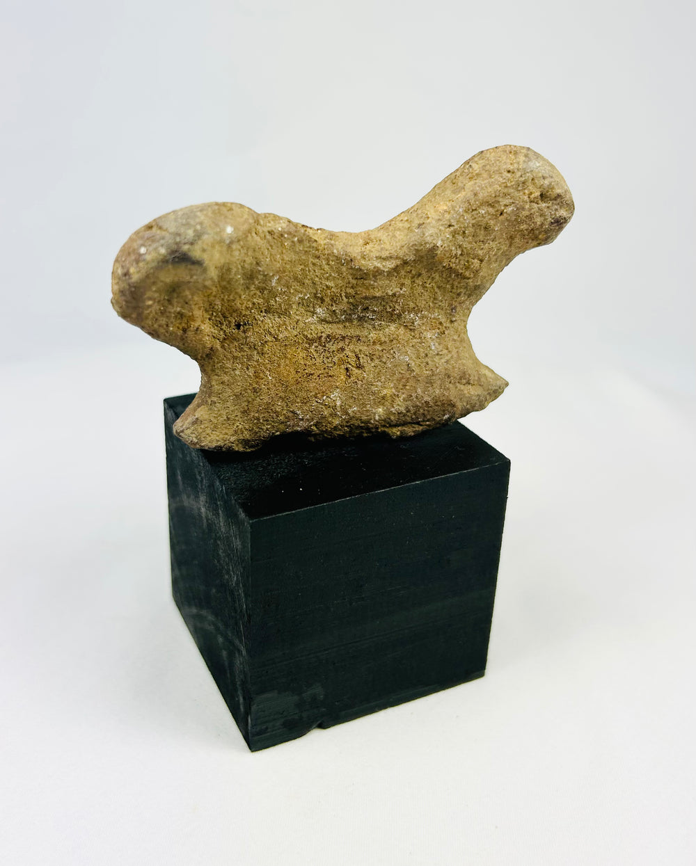 Ancient West Mexico terracotta head with traces of burial mineral deposits