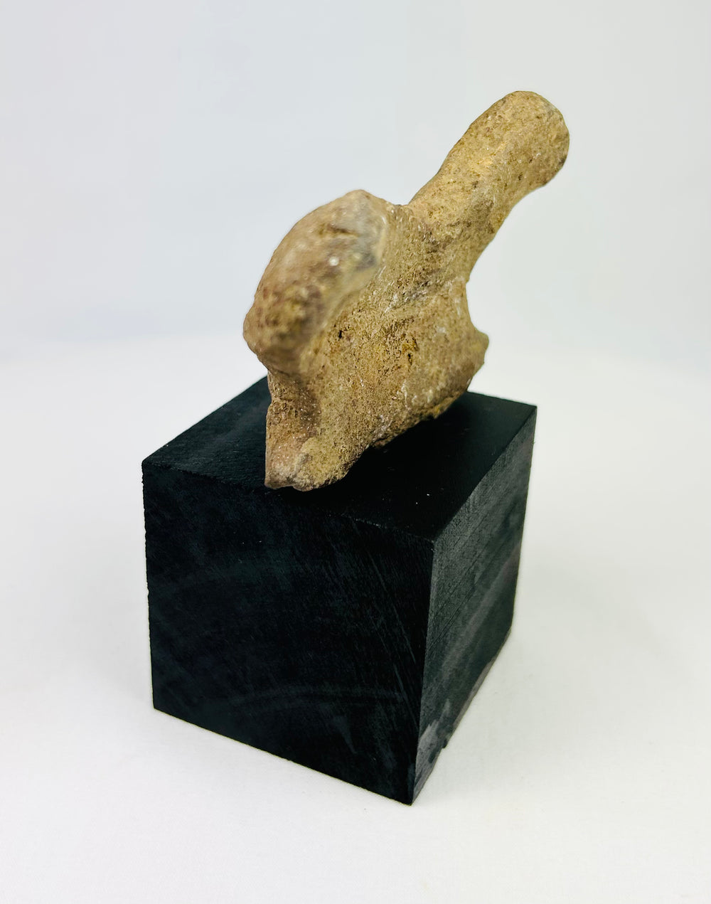 Mounted terracotta head fragment from Pre-Columbian shaft-tomb site