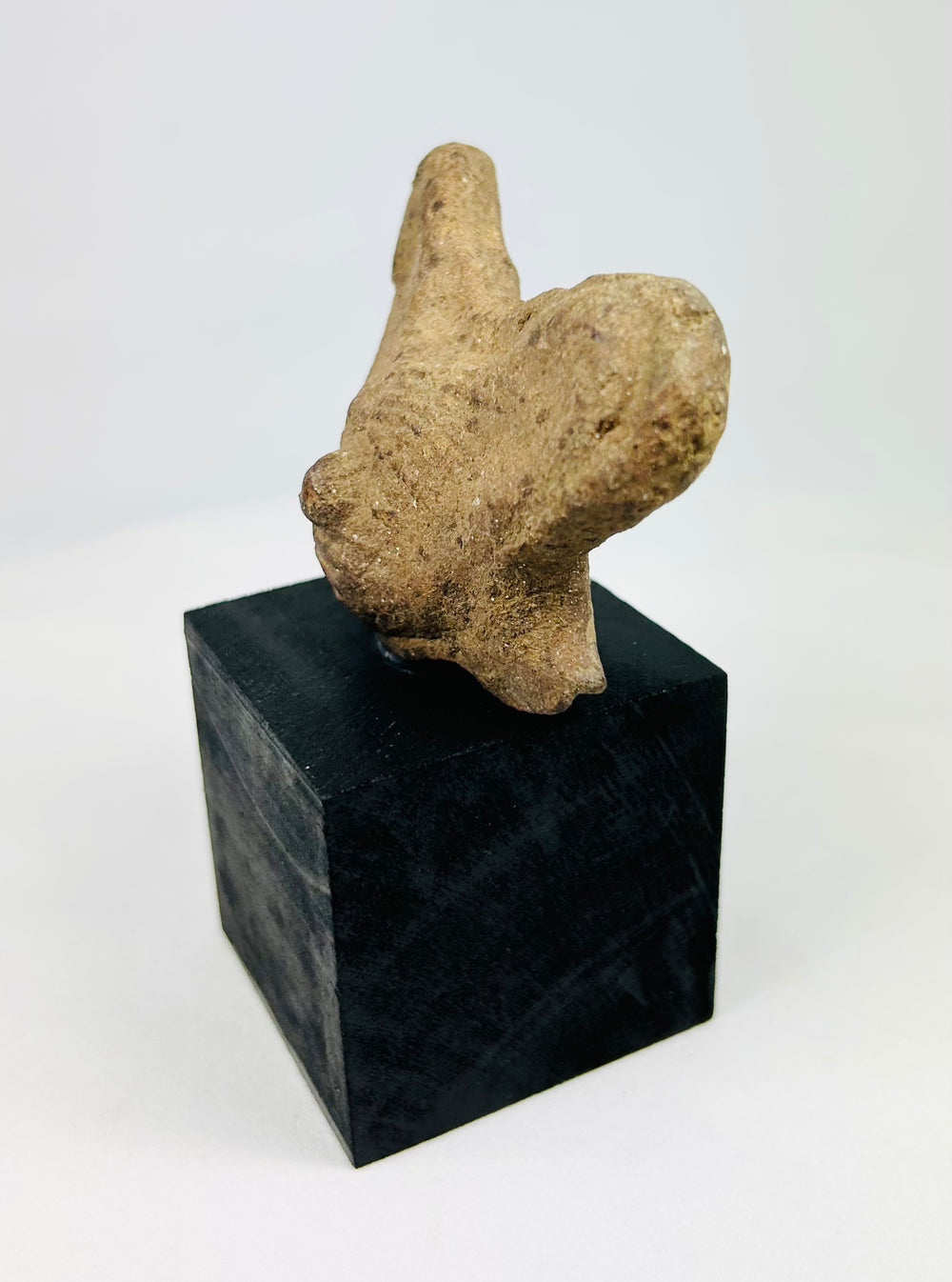 Pre-Columbian terracotta head fragment on black display, photographed on white background