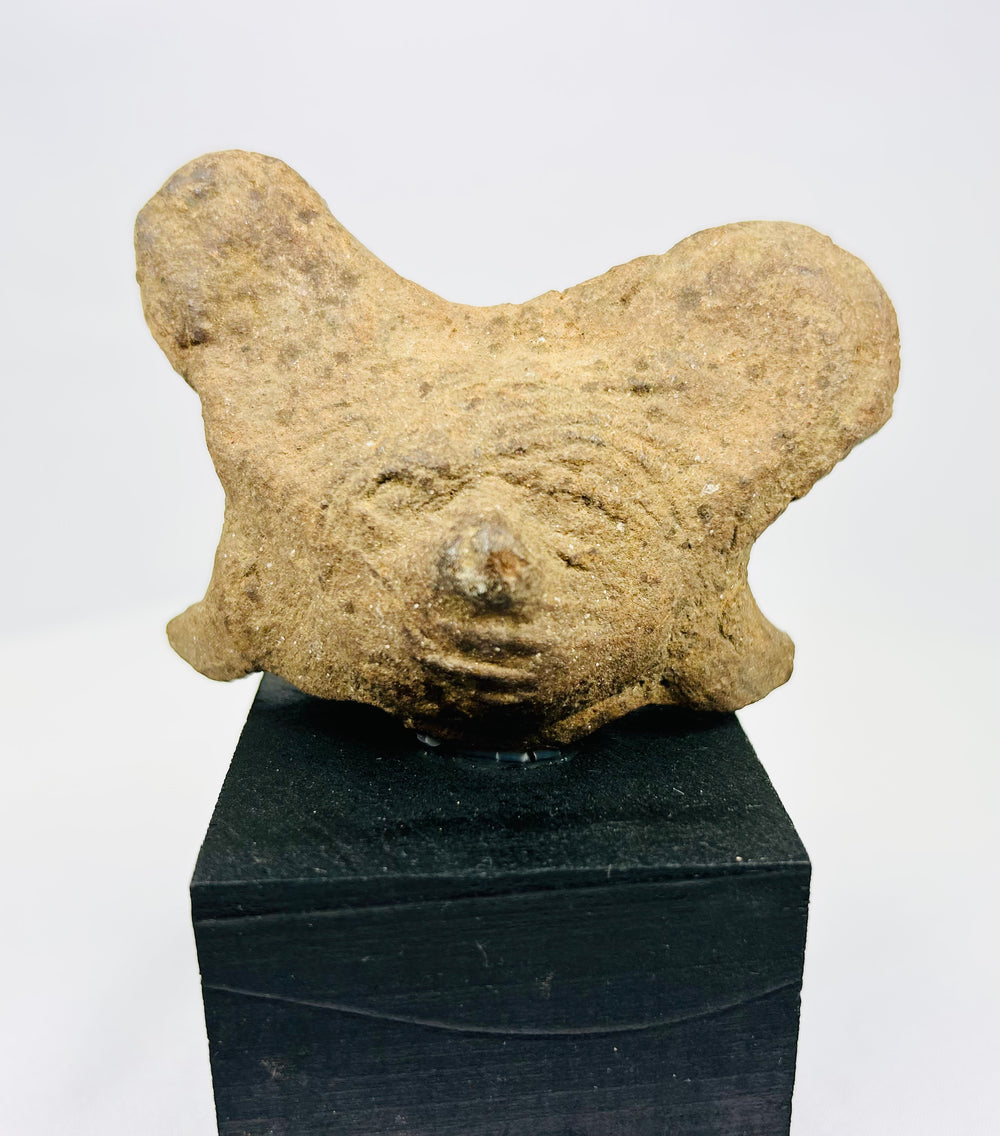 Ancient terracotta head from shaft-tomb culture, mounted for display