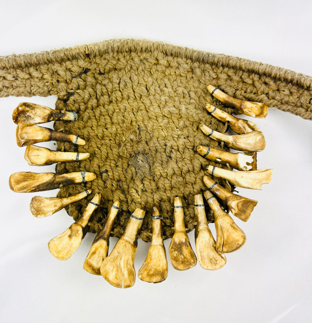 Papua New Guinea shamanic adornment with animal teeth and central cowrie shell