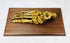 19th-century articulated human foot bone specimen mounted on wooden base