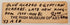 Original handwritten High Museum of Art gift shop inventory label for Egyptian scarabs