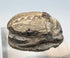 Cream-colored Egyptian faience scarab in three-quarter view showing burial weathering