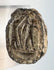 Underside of cream-colored Egyptian scarab showing carved legs and longitudinal perforation