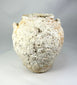 Marine-encrusted Song Dynasty terracotta jar salvaged from Southeast Asian waters, large rounded vessel for liquids or grains