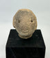 West Mexican Pre-Columbian terracotta head fragment, circa 300 BCE–300 CE, featuring drilled eyes and gentle facial features on a display stand