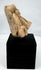 Pre-Columbian carved tan stone head displaying archaeological wear and surface patina