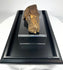 Unique Egyptian funerary relic preserved fragment 700–200 BCE