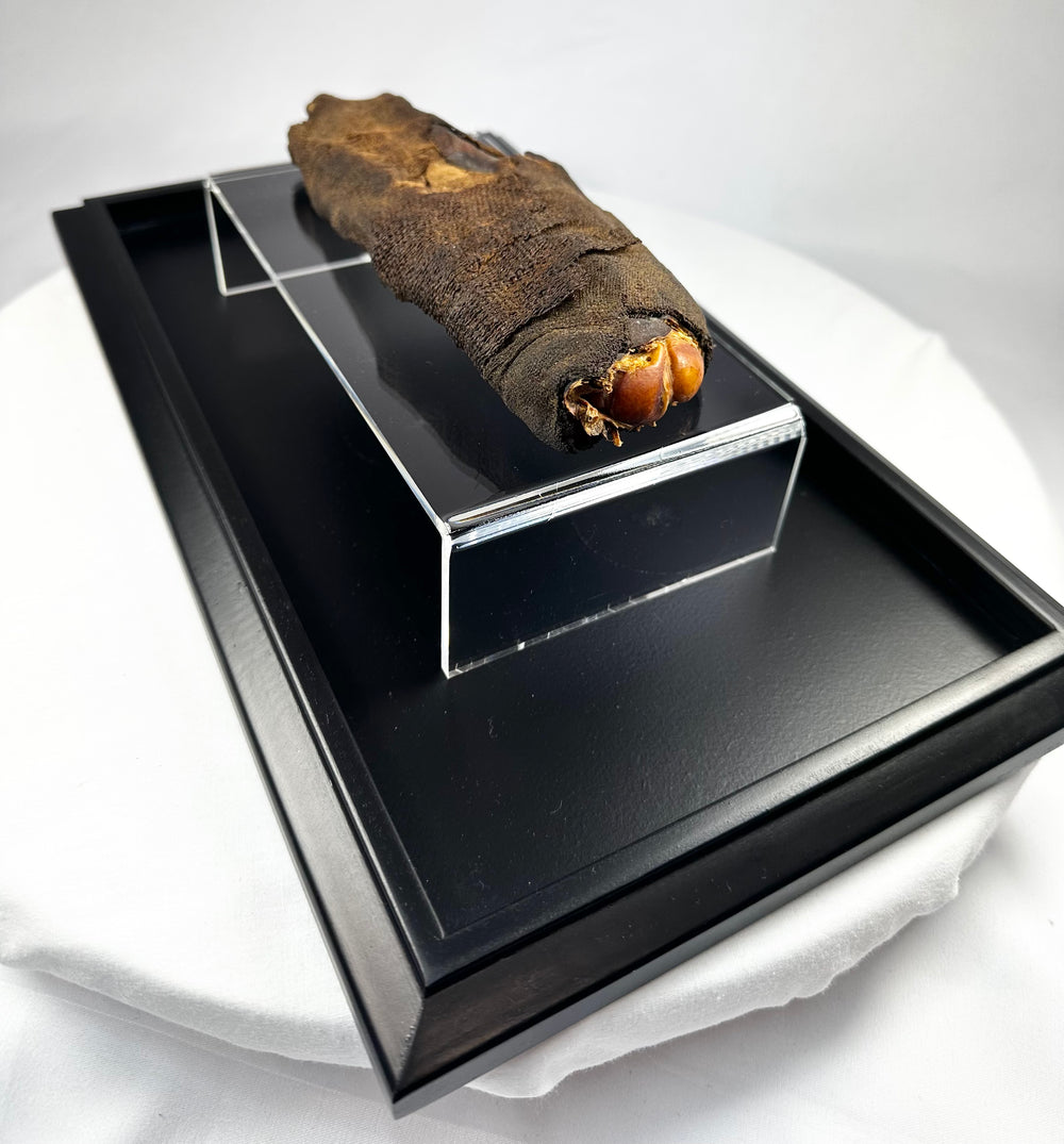 Detail of ancient Egyptian linen wrapping and resin coating on verified mummified hand, Late to Ptolemaic Period, circa 700–200 BCE.