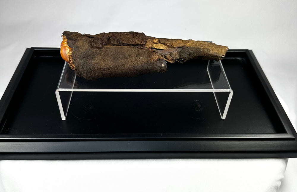 Close-up of authentic ancient Egyptian mummified hand, revealing detailed preservation of desiccated tissue, natural resin, and linen fibers from the Ptolemaic Period.