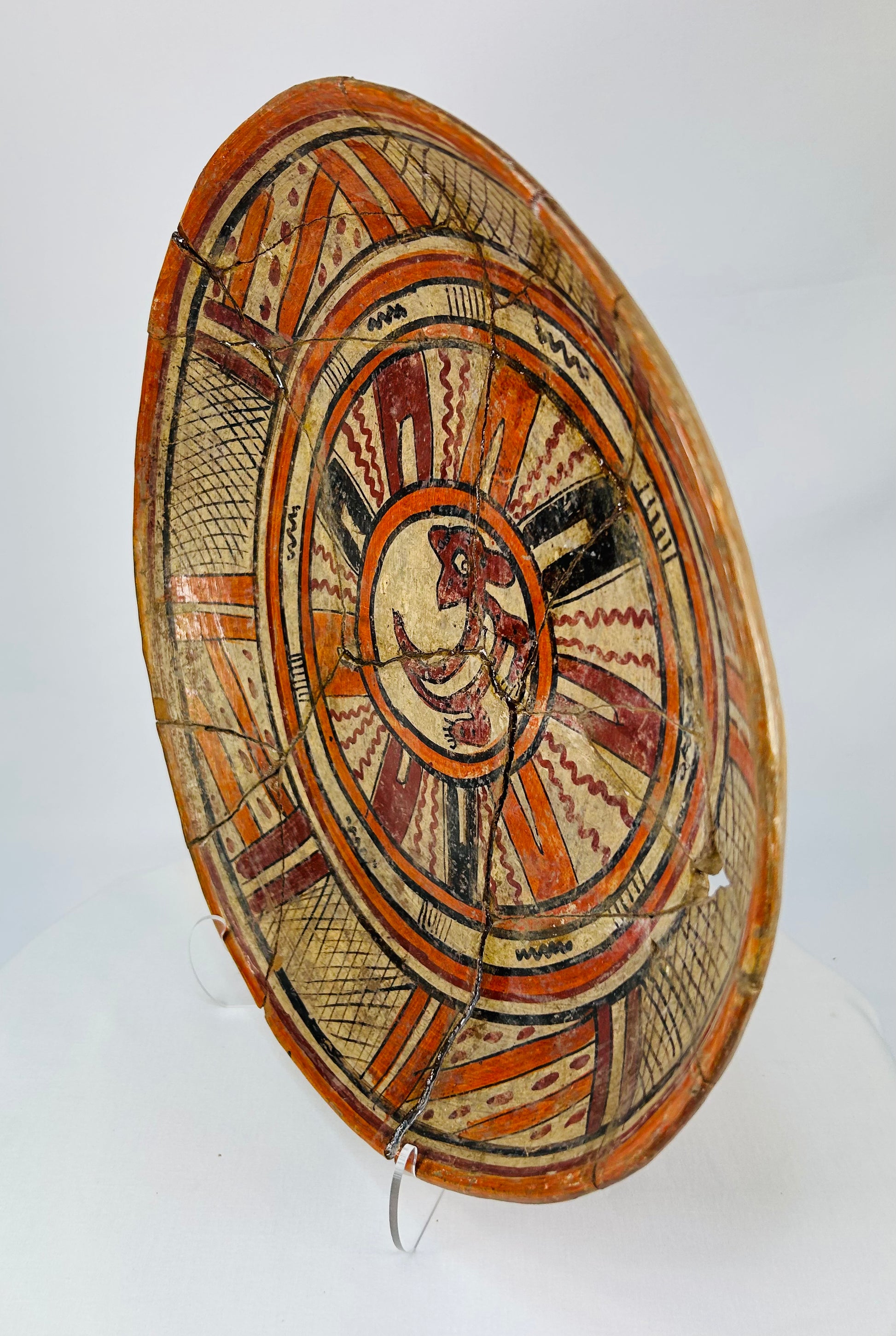 Alternate left-front perspective emphasizing sunburst pattern and pigment mineralization on surface.