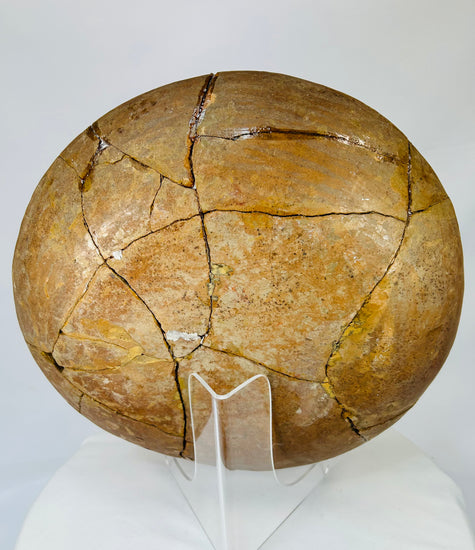 Full angled underside view displaying hand-coiled construction and stabilization lines.