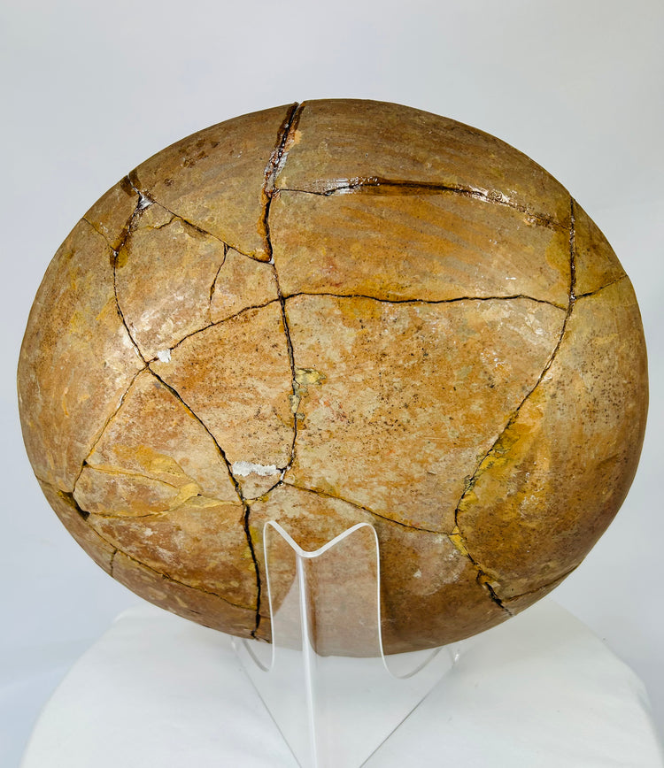 Full angled underside view displaying hand-coiled construction and stabilization lines.