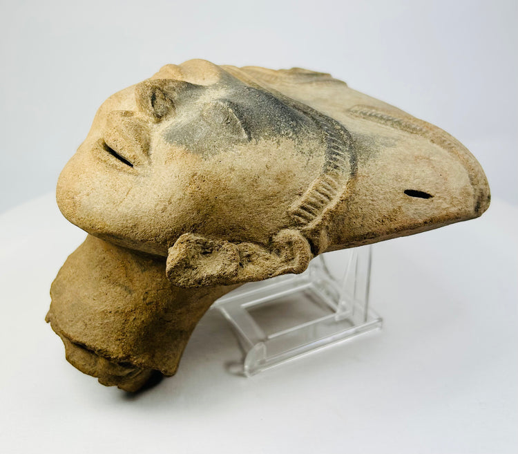 Pre-Columbian ceramic head angled left, showing nose, lips, and decorative ear spool.