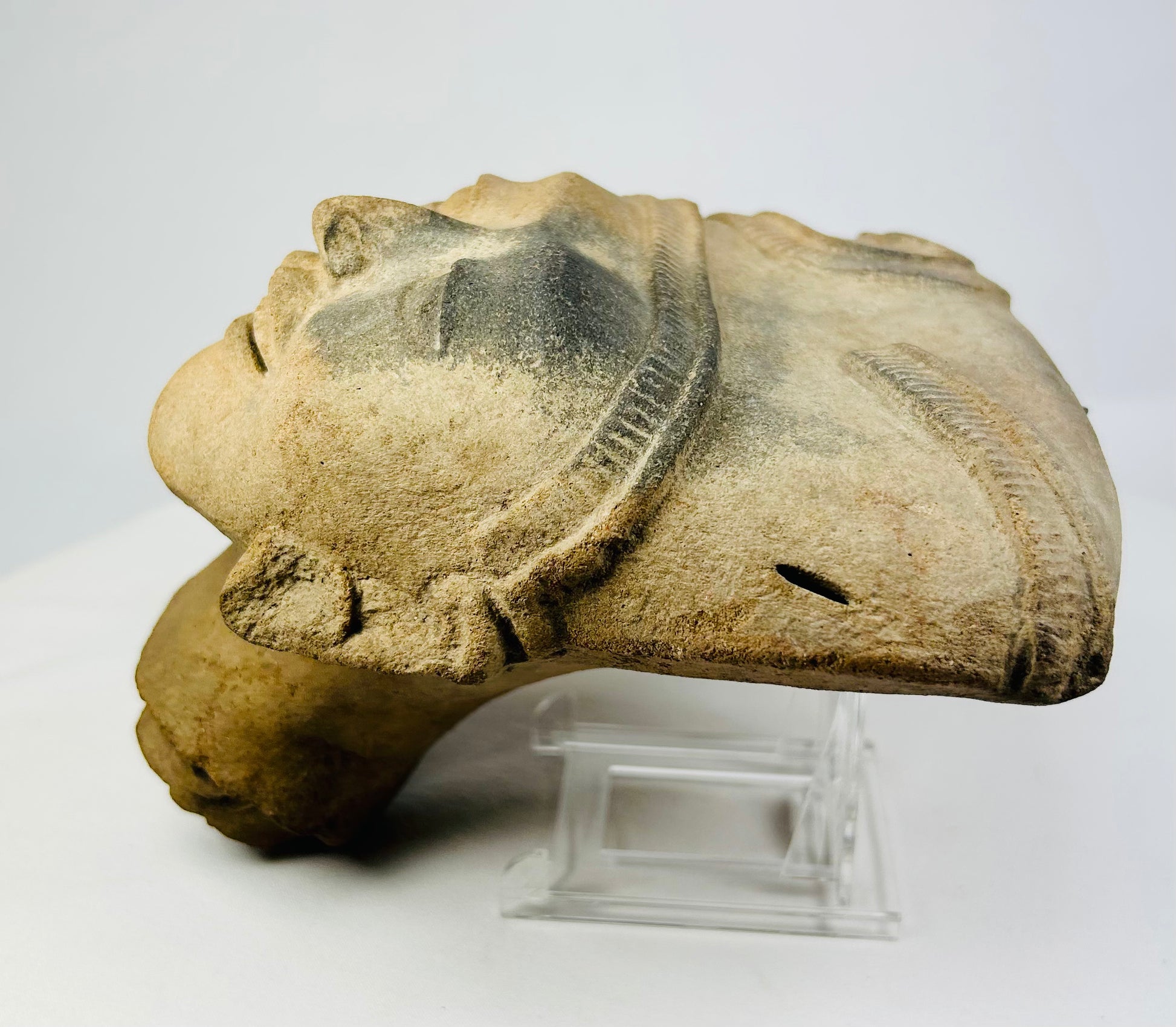 Mesoamerican terracotta head photographed in partial profile, showing swirling hair design.