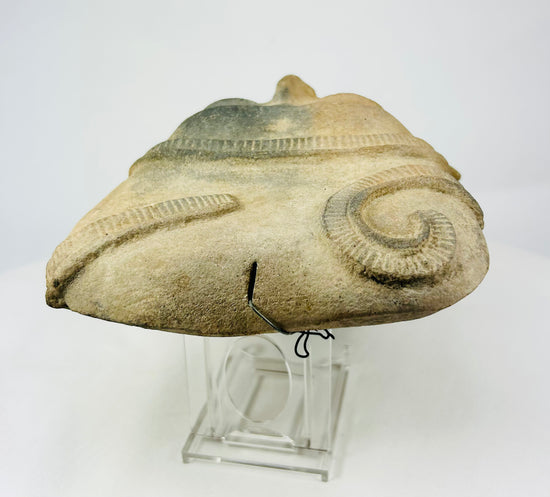 Rear of Pre-Columbian terracotta head showing hollow construction and kiln aperture opening.