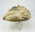 Rear of Pre-Columbian terracotta head showing hollow construction and kiln aperture opening.