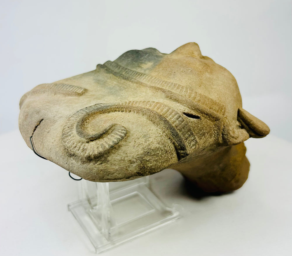 Ancient ceramic head viewed from oblique side angle, highlighting symmetrical ear ornaments.