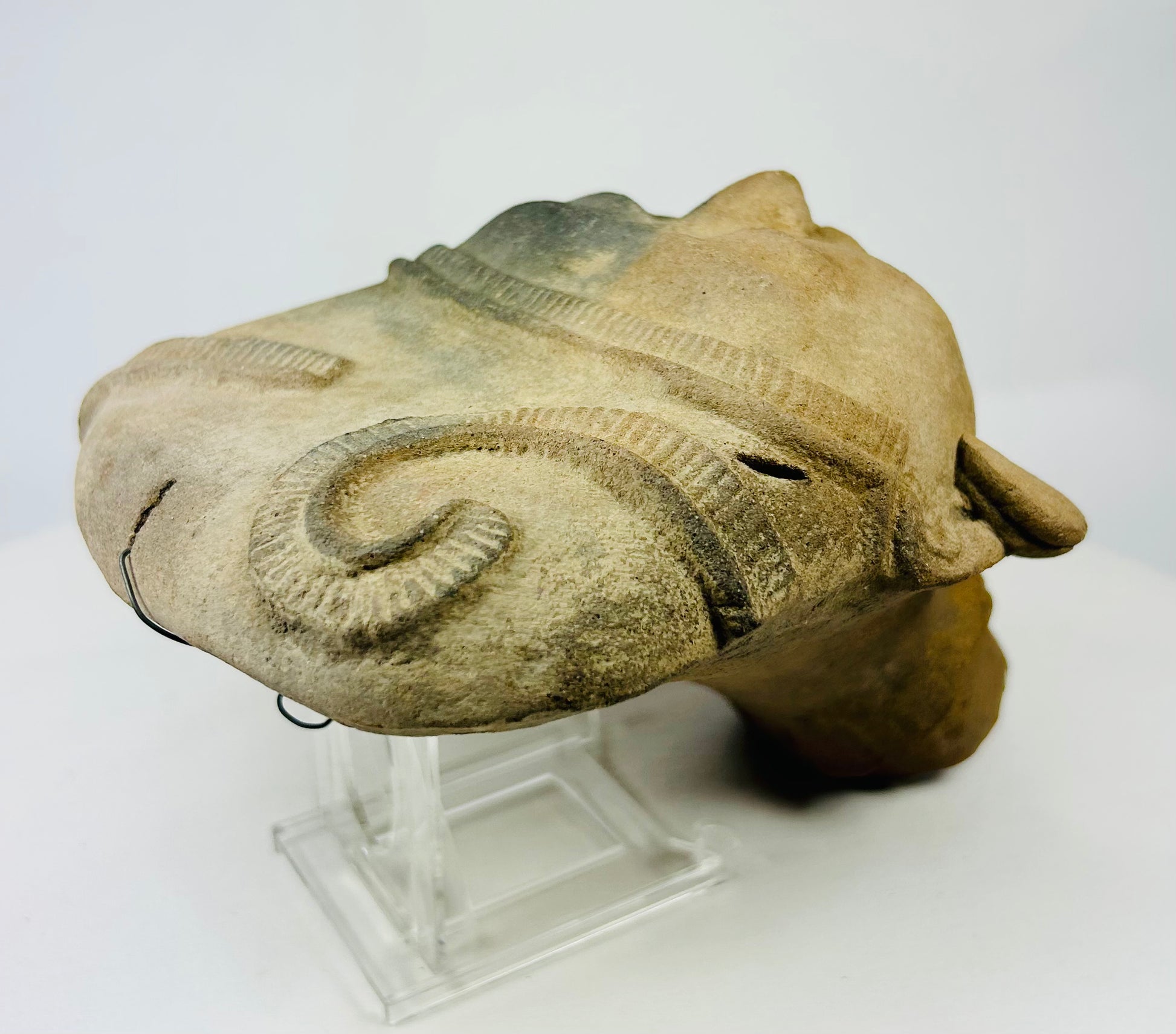 Ancient ceramic head viewed from oblique side angle, highlighting symmetrical ear ornaments.
