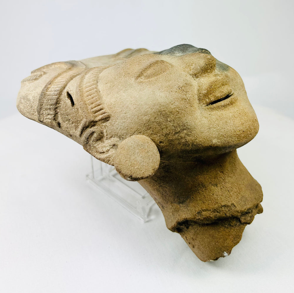 Pre-Columbian ceramic head angled left, showing nose, lips, and decorative ear spool.