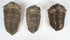 Three prehistoric trilobite specimens showing differences in size shape and preservation