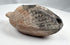Ancient Levantine oil lamp with reddish-brown clay and burial patina