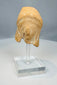 Ancient Greek female figurine fragment mounted on an acrylic stand