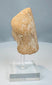 Ancient Greek molded terracotta figurine head with mineral deposits