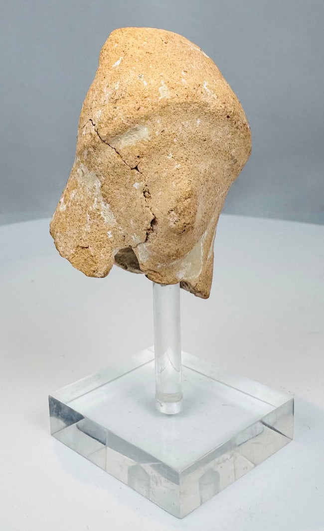 Veiled female terracotta head from the Late Classical period