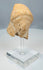 Veiled female terracotta head from the Late Classical period