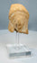 Late Classical Greek terracotta head of a young woman
