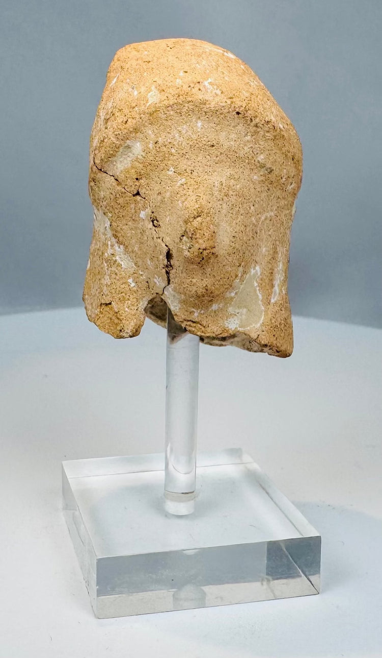 Late Classical Greek terracotta head of a young woman