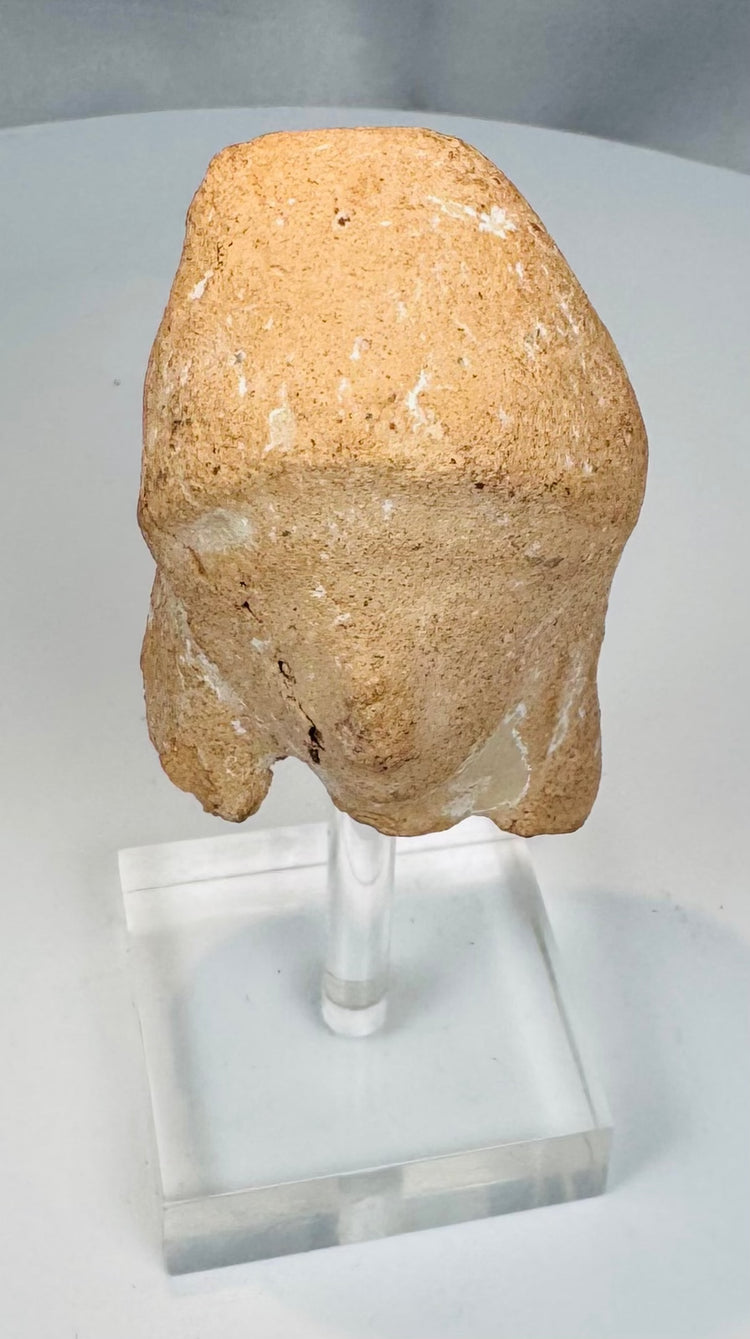 Greek archaeological terracotta fragment on a clear display stand