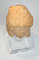 Ancient Greek terracotta figurine head formerly in a California collection