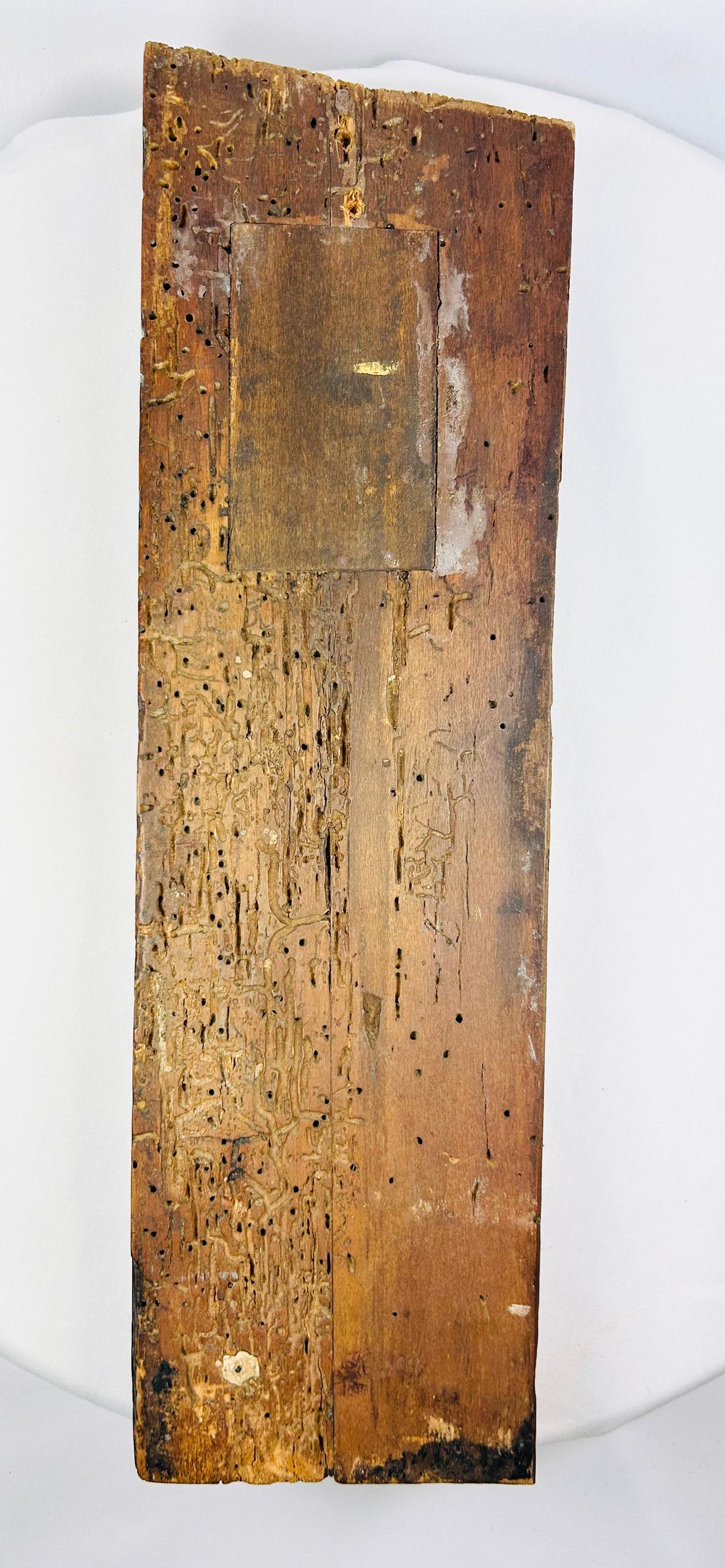 Back angle of the aged surface patina and carved drapery on a 400-year-old Tudor oak panel.