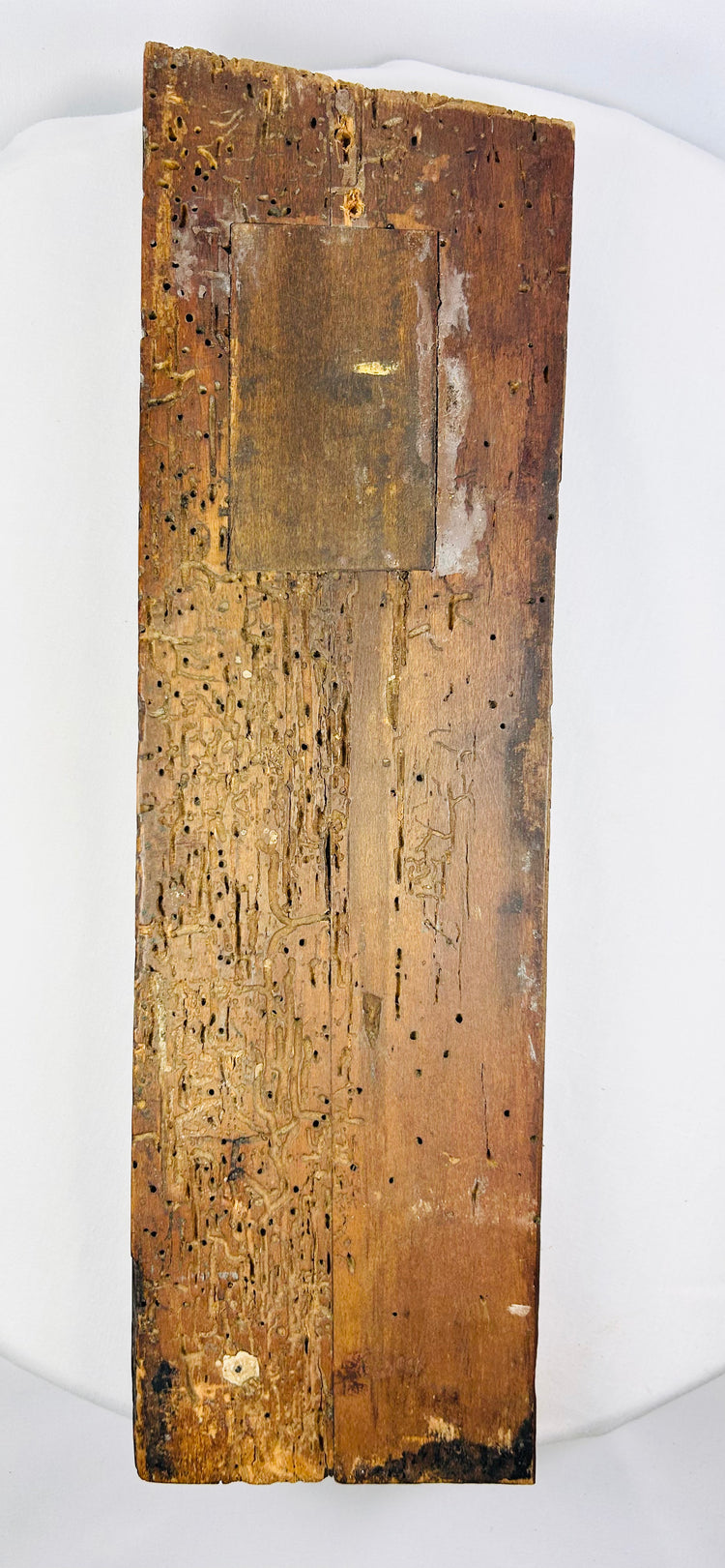 Back angle of the aged surface patina and carved drapery on a 400-year-old Tudor oak panel.