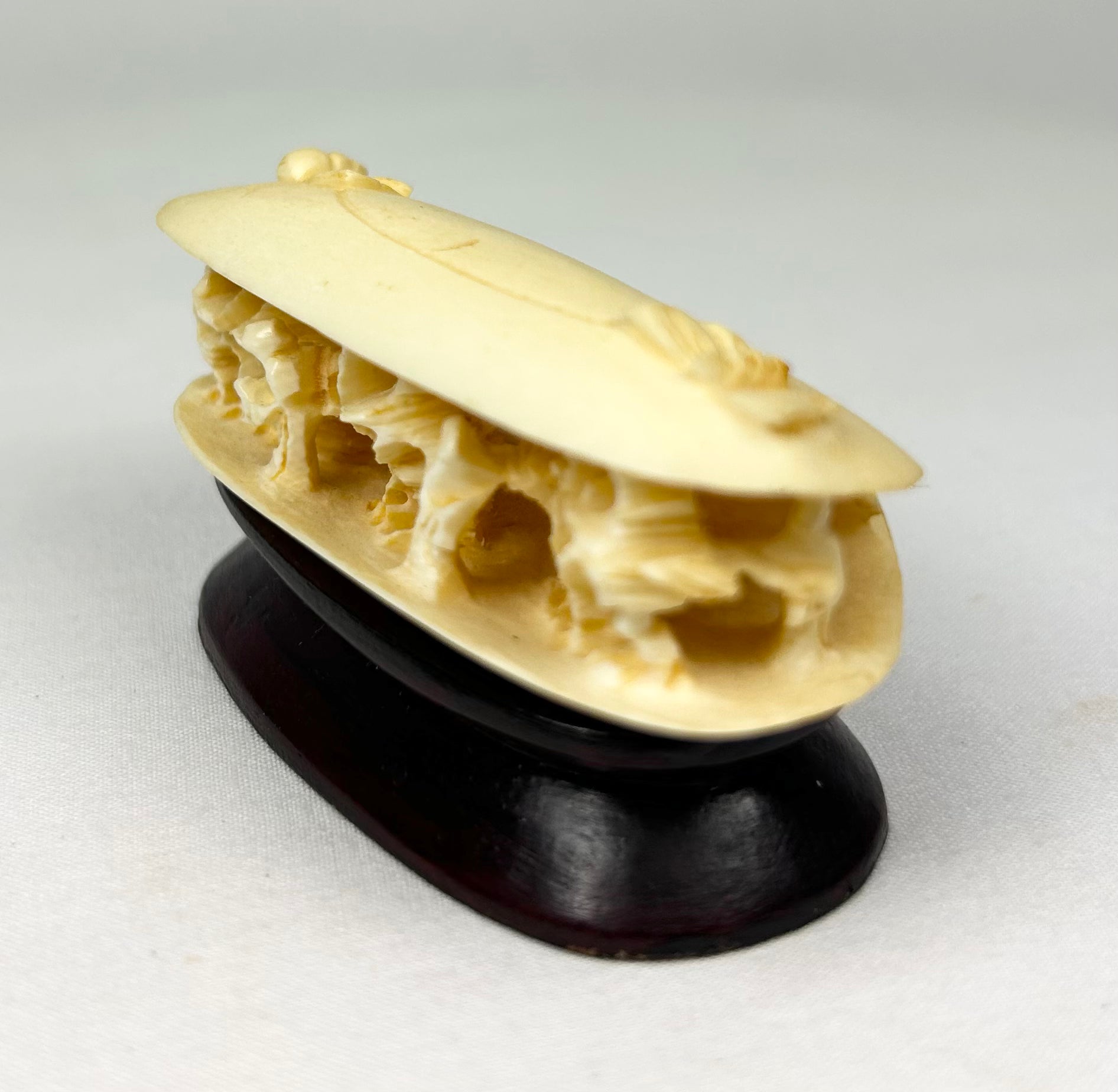 Angled side view of the Chinese carved bone clam shell miniature, highlighting the pierced interior chambers and hardwood base.