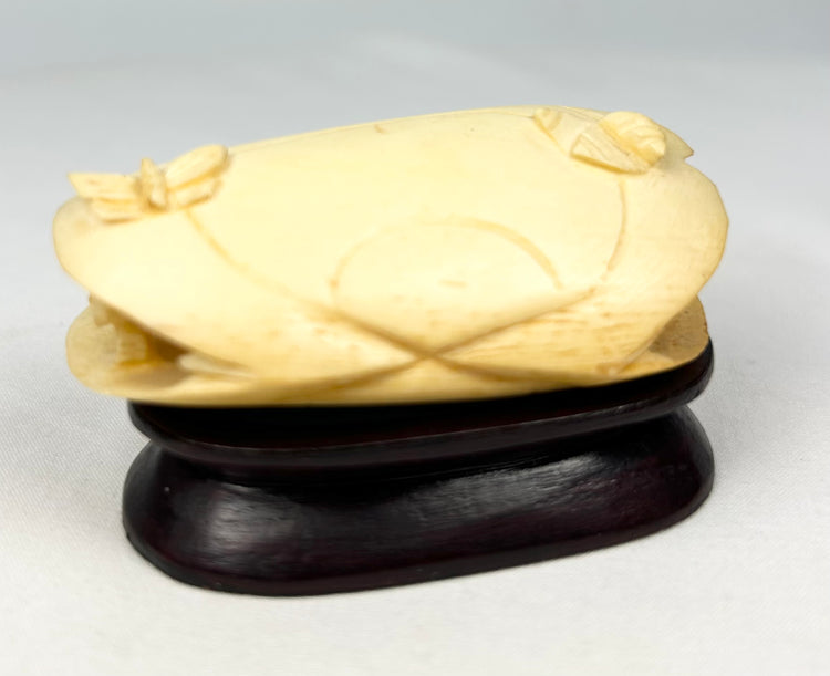 Rear view of the carved bone clam shell miniature showing the smooth outer shell and foliate incised designs on a wooden stand.