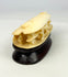 Three-quarter angled view of the carved bone clam shell miniature displaying the layered openwork carving and patinated bone surface.